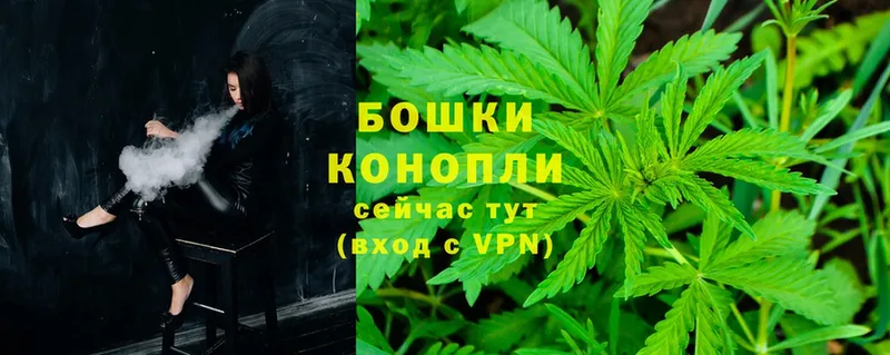 Бошки марихуана OG Kush  darknet официальный сайт  Армянск  блэк спрут онион 